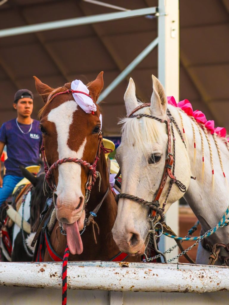 Fotos: Turismo Estado de México