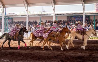 Vive la Feria del Caballo 2026 en Texcoco