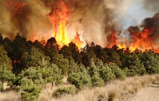 se agrava la crisis ambiental por incendios