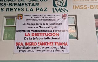 Acusan a diputada de meter presión para destituir a jefa sanitaria