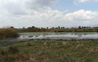 Apuesta el Edomex por soluciones naturales para sanear el Río Lerma