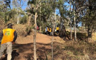 Atienden brigadas de limpieza el Cerro de los Magueyes en Metepec