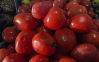 Aumenta 100% el jitomate en Huehuetoca de 30 a 60 pesos por kilo