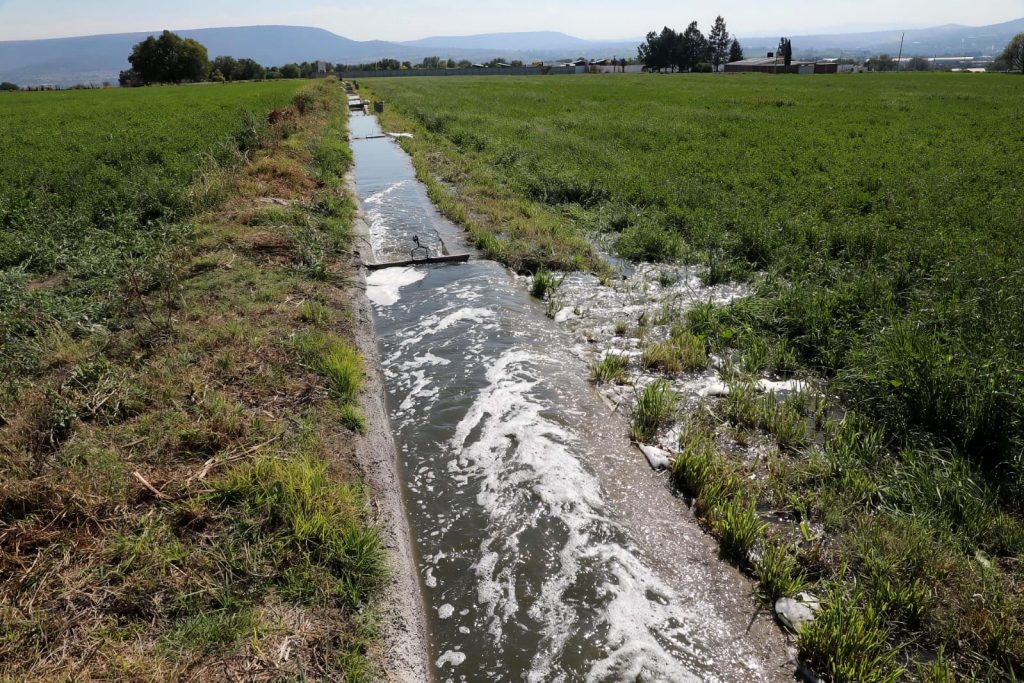 Fotos: Secretaría del Campo 