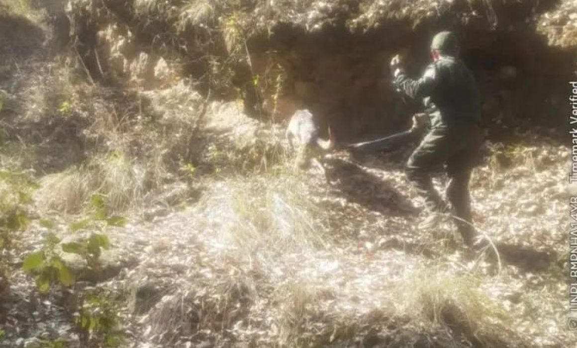 Buscan a joven desaparecido desde noviembre 2025 en Villa del Carbón