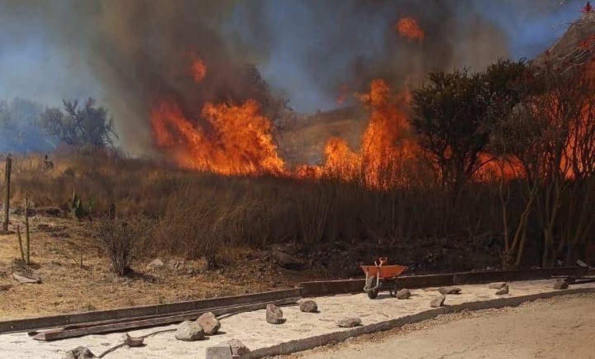 Controla Tlalnepantla incendio en pastizal de Lázaro Cárdenas