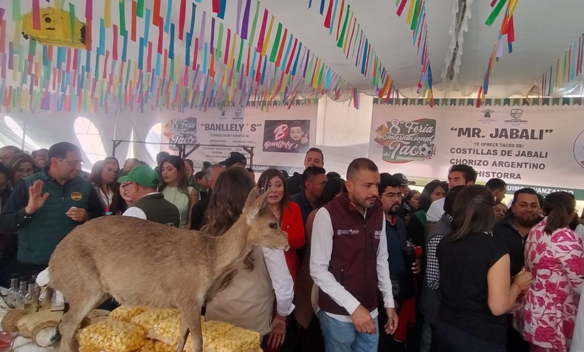 De alacrán, búfalo y jabalí; inicia 8va Feria del Taco en Zinacantepec