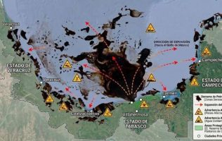Desastre petrolero sigue afectando el Golfo de México: Greenpeace