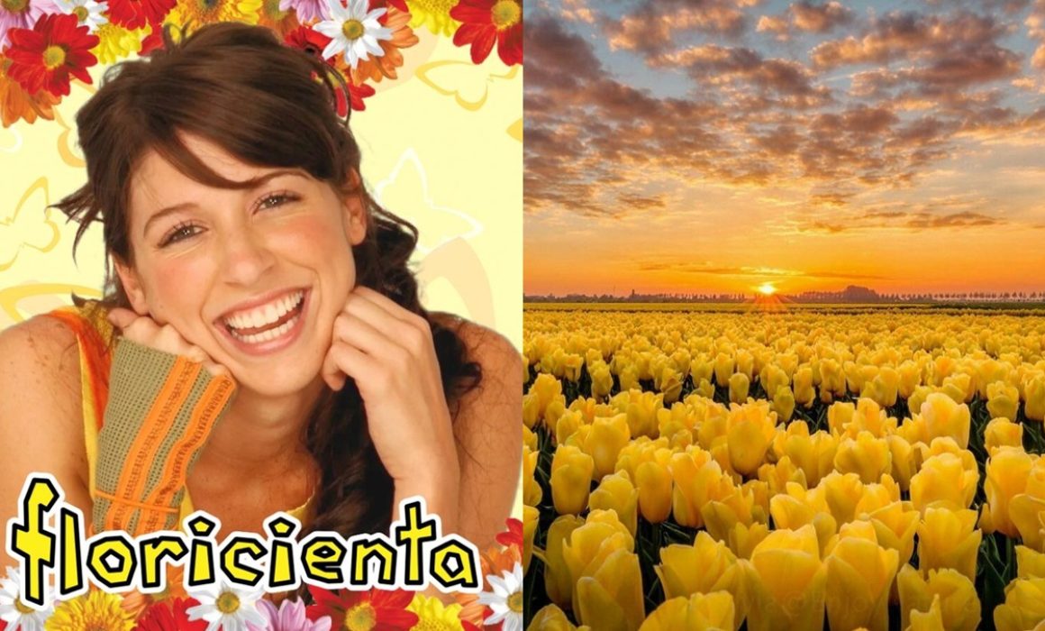 Descubre el origen de flores amarillas y su vínculo con una telenovela