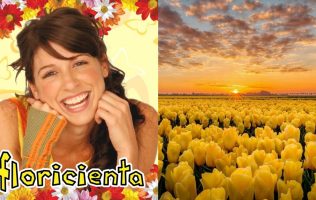 Descubre el origen de flores amarillas y su vínculo con una telenovela