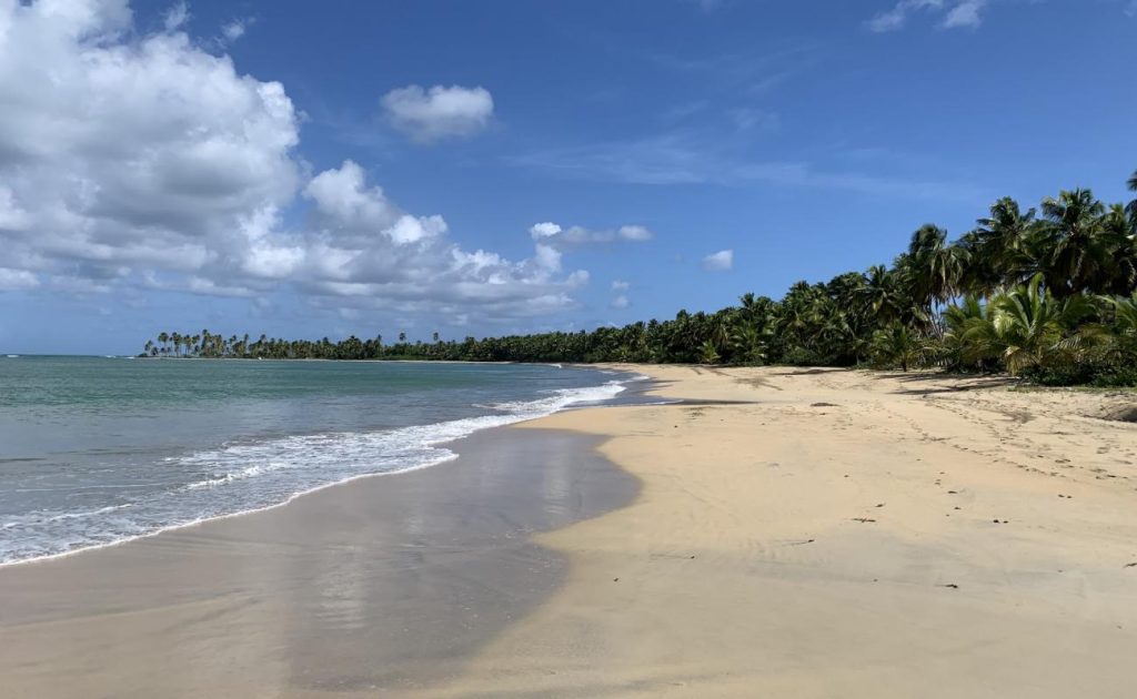 Foto: Tuxpan Veracruz, Beach Seacher 