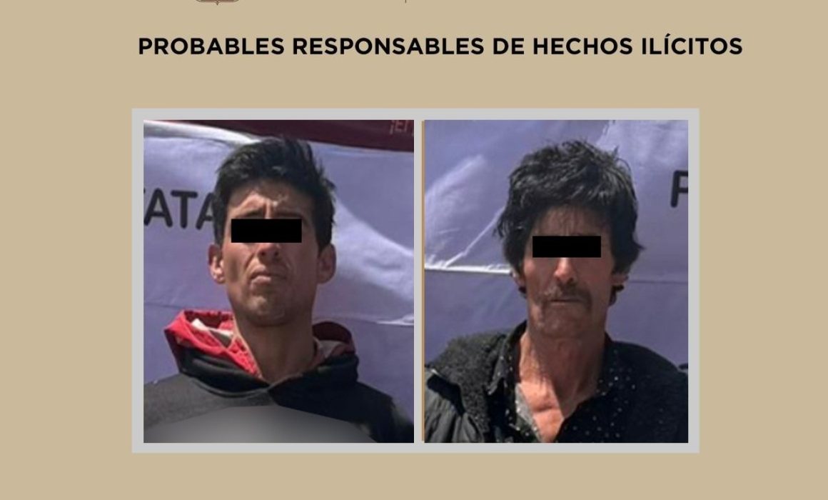 Detienen en Tianguistenco a dos con 470 polines de oyamel ilegal talado