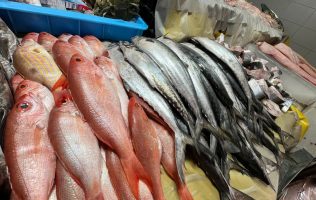 Invaden pescados, camarones y pulpos los tianguis de Edomex