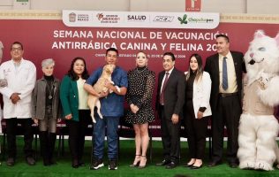 Invitan a la vacunación antirrábica para proteger mascotas en Edomex