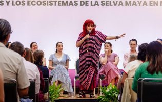 Lanzan megaproyecto de reforestación para la Selva Maya en Campeche