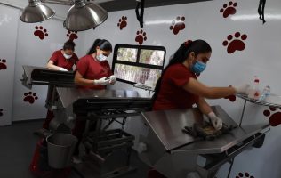 Ponen en marcha Tecámac consultorio móvil para esterilizar mascotas