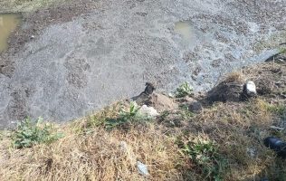 Rescata Guardia Civil de Tecámac a cachorro que cayó en canal