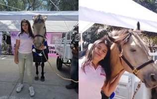 Rescatan a 'Bayo' era usado como carretón de basura en Los Reyes La Paz