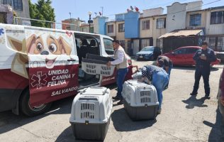 Resguarda Edomex a 12 perros en Acolman tras petición de dueña
