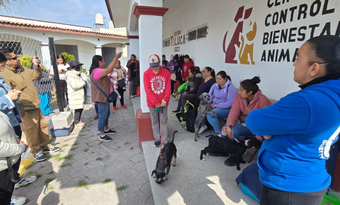 Reúne función de lucha libre apoyo para beneficio de animales en Toluca