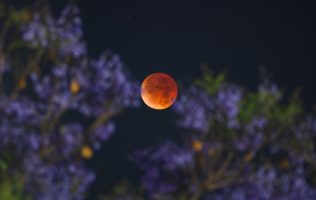 Se tiñe de rojo la Luna y deslumbra al Estado de México