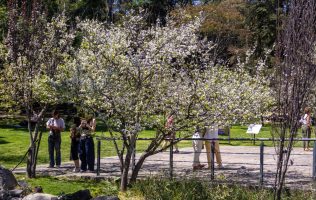 Suspenden 'Perreo Picnic' en Chapultepec por falta de permisos