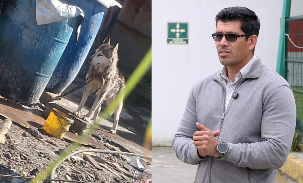 Exhortan autoridades de Toluca a denunciar casos de maltrato animal