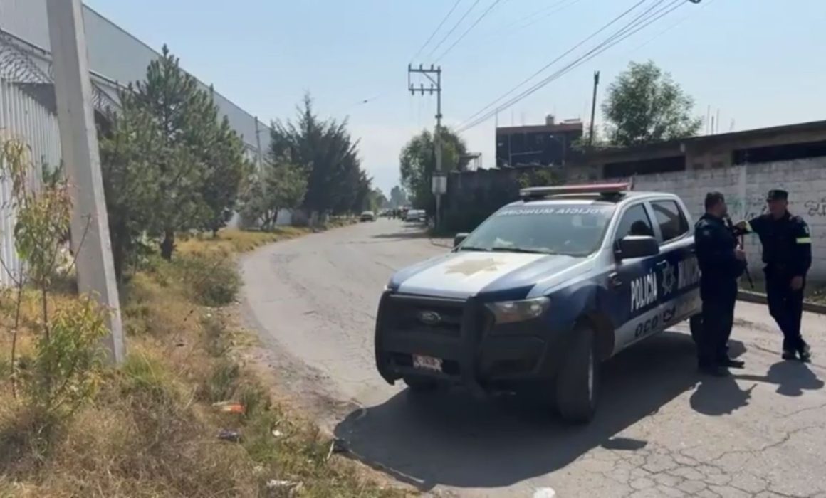 ¡Alerta en Ocoyoacac! buscan a 2 leones que escaparon de una reserva