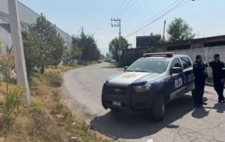 ¡Alerta en Ocoyoacac! buscan a 2 leones que escaparon de una reserva
