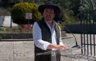 Acusan activistas carpetazo a caso de cacomixtles en Toluca