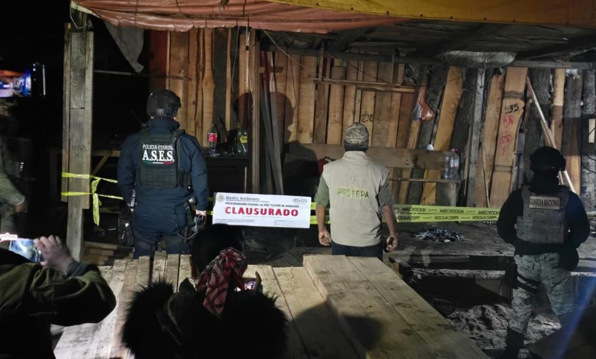 Aseguran aserraderos en Ocuilan en operativo contra tala clandestina