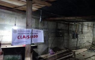 Aseguran fuerzas federales y estatales bodegas para tala en Ocuilan