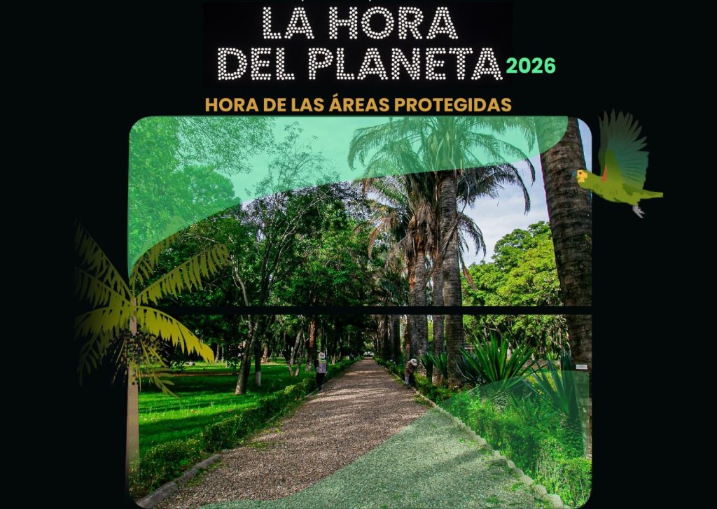 FOTOS: UAEMEX