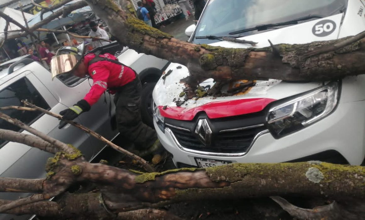 Cae árbol sobre vehículos en Toluca y moviliza servicios de emergencia