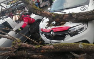 Cae árbol sobre vehículos en Toluca y moviliza servicios de emergencia