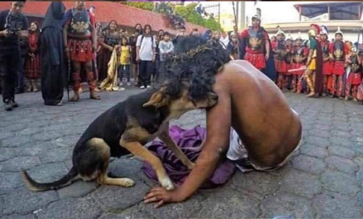 Conmueve perrito al 'consolar' a Jesús en Viacrucis de Zumpango