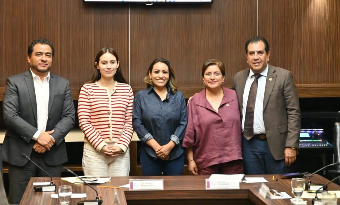 Darán descuentos de 10% en predial por azoteas verdes en Edomex