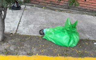 Denuncian hallazgo de perros sin vida en la Nueva Oxtotitlán en Toluca