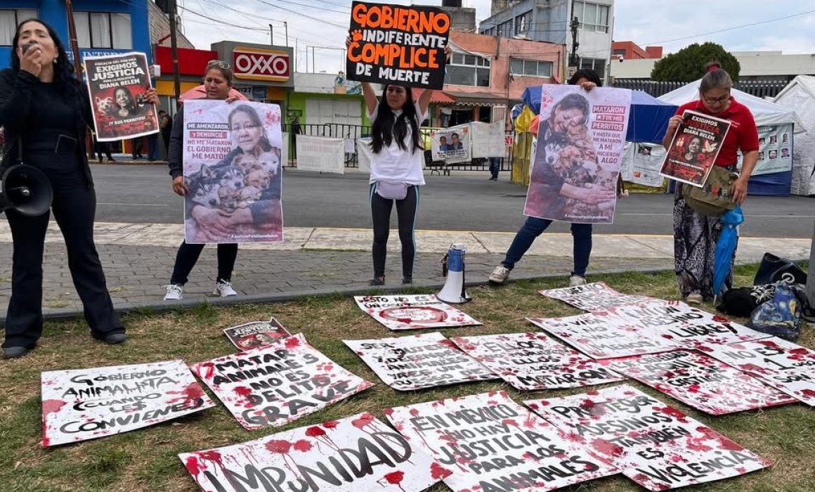 Exigen activistas justicia para Diana Belén frente a Fiscalía de Toluca