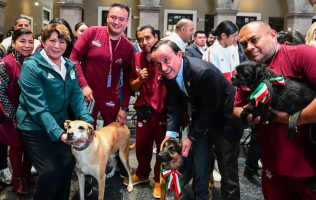 Fomentarán adopción responsable en partidos del Tri en el Nemesio Diez