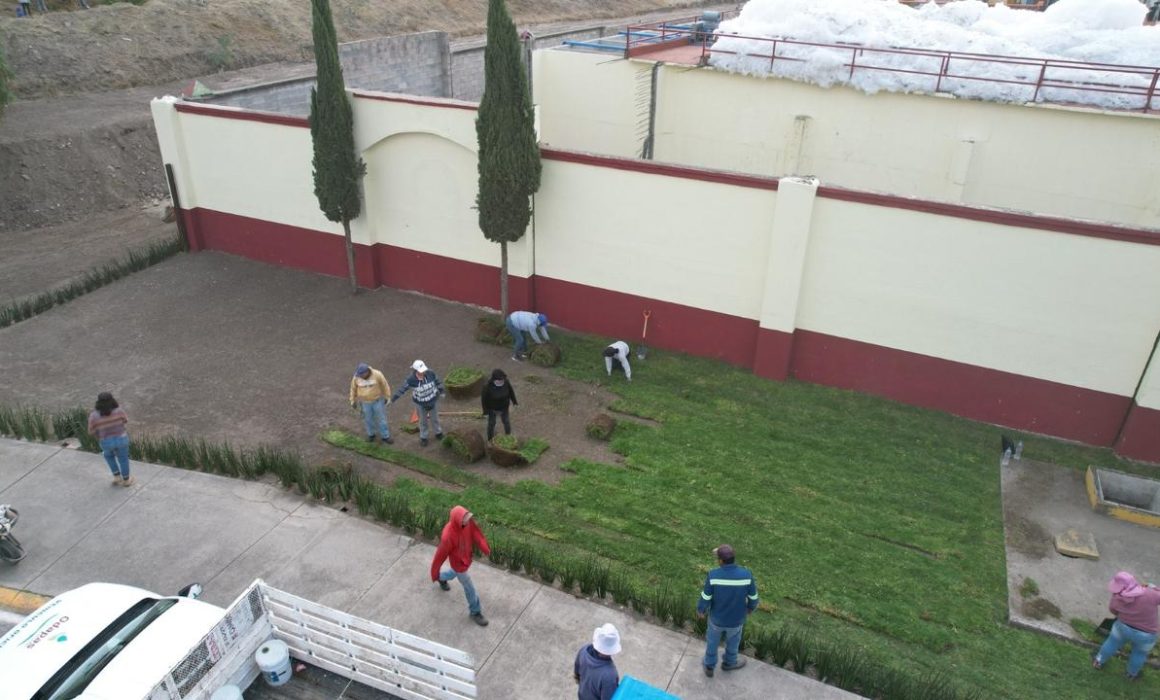 Fortalece Tecámac estrategia ambiental con rescate de polinizadores