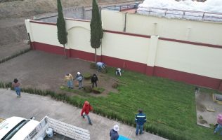 Fortalece Tecámac estrategia ambiental con rescate de polinizadores