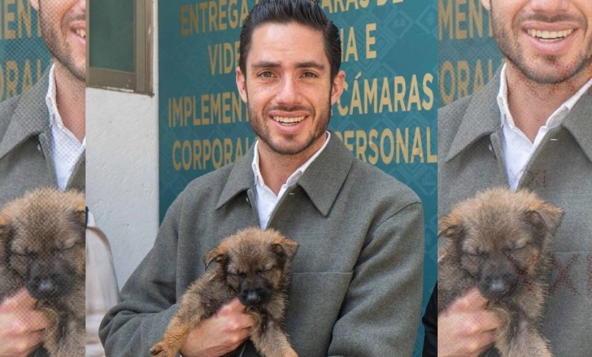 Frena Pepe Couttolenc el maltrato: el PVEM da voz a los animales