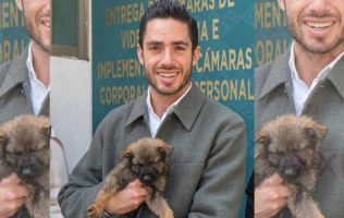 Frena Pepe Couttolenc el maltrato: el PVEM da voz a los animales