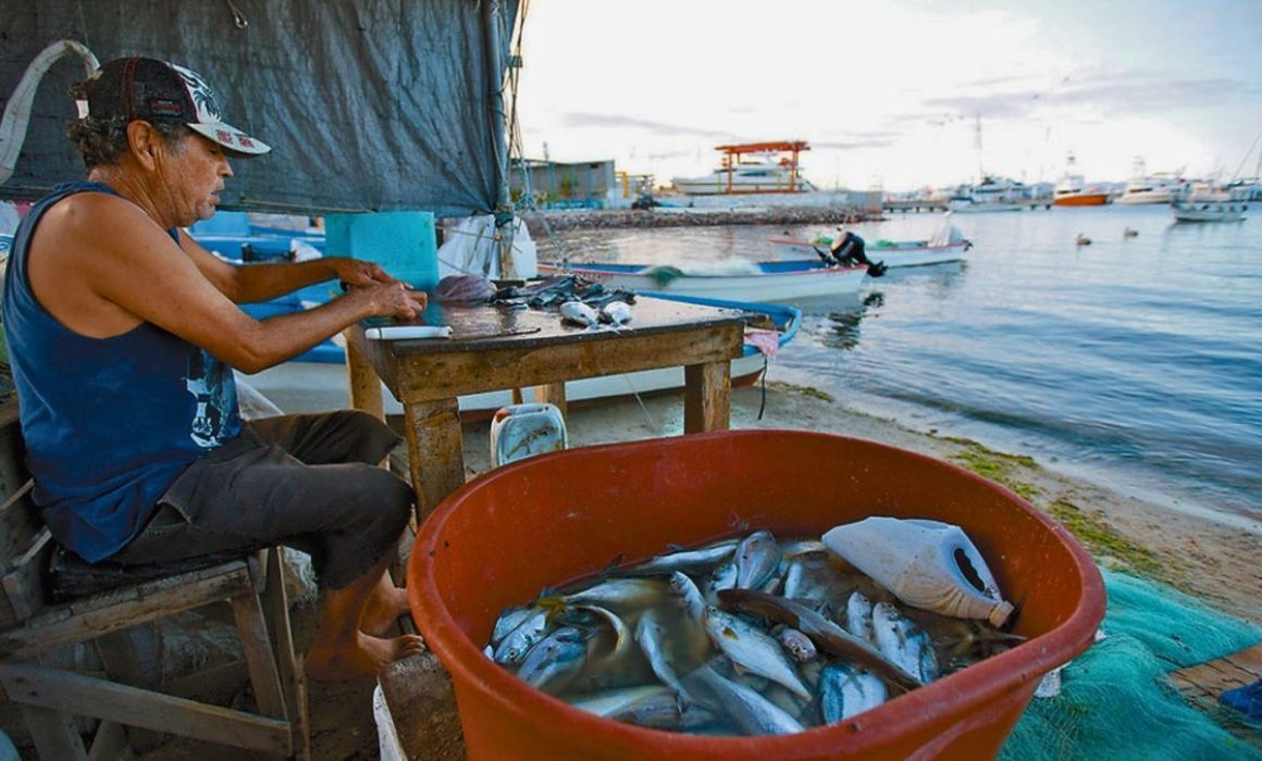 Genera Edomex más de 7 mil toneladas de pescado en Cuaresma