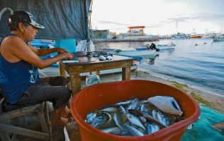 Genera Edomex más de 7 mil toneladas de pescado en Cuaresma