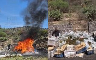 Incinera en Teotihuacán 400 kilos de drogas aseguradas en operativos
