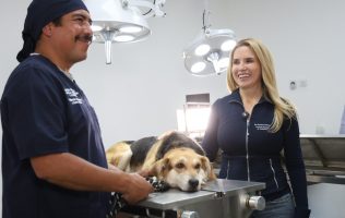 Logra Huixquilucan adopción y rescate de más de 4 mil mascotas