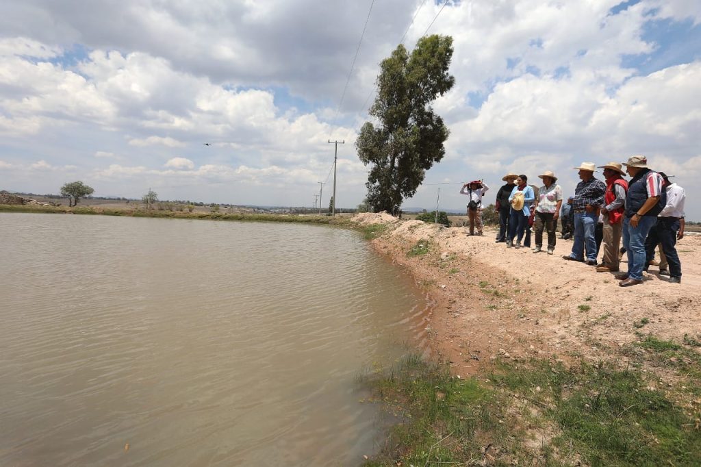 Fotos: Secretaría del Campo Estado de México 