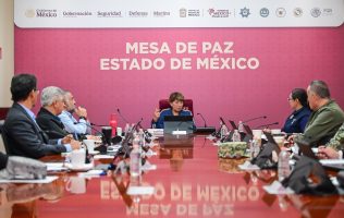 Motiva Delfina Gómez estrategia de adopción animal para el Mundial 2026